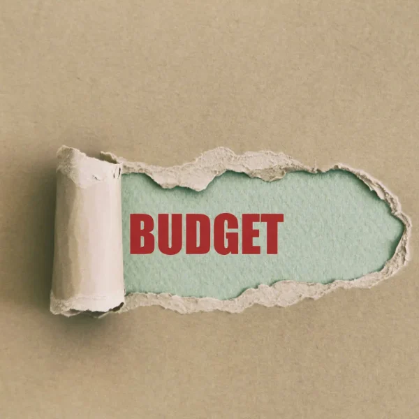 BUDGETING TEMPLATE