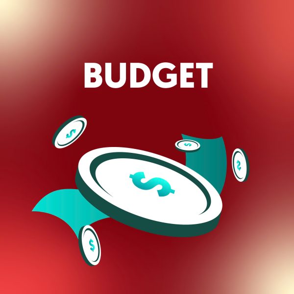 BUDGETING TEMPLATE